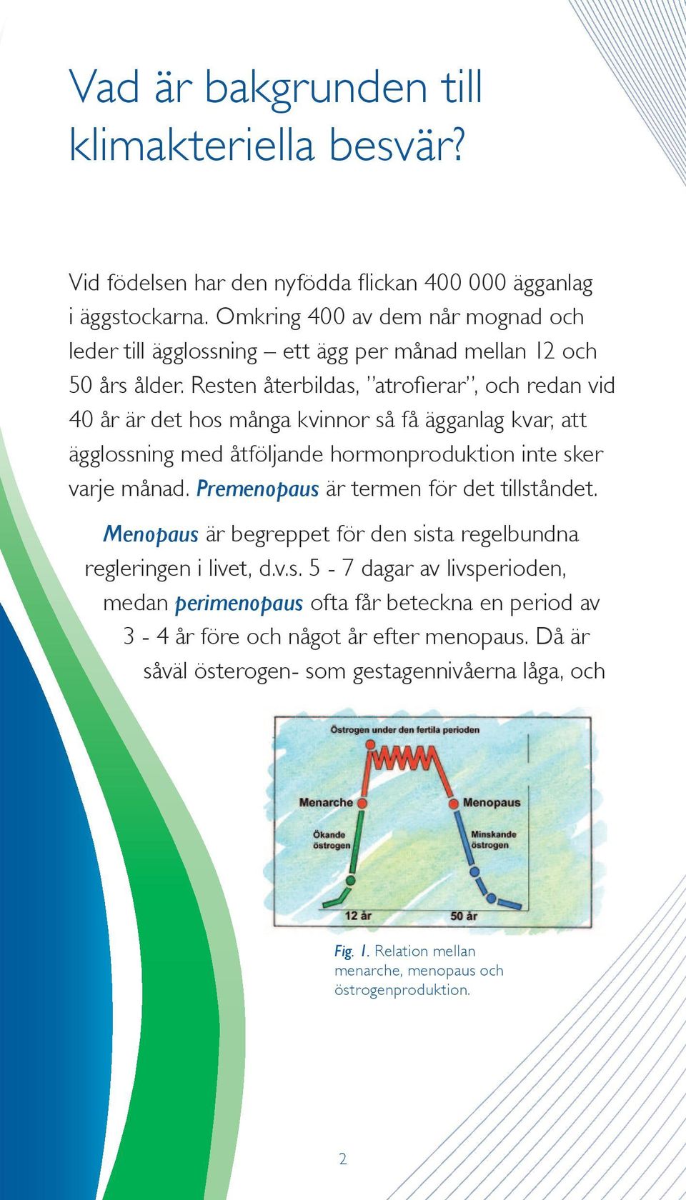 Resten återbildas, atrofierar, och redan vid 40 år är det hos många kvinnor så få ägganlag kvar, att ägglossning med åtföljande hormonproduktion inte sker varje månad.