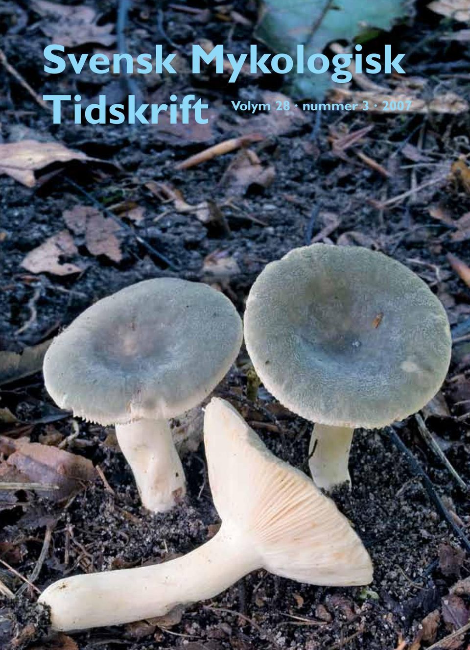 Tidskrift