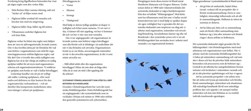 Fåglarna verkar ha hittat sina regler som hjälper dem att vara ett självorganiserade, levande system.