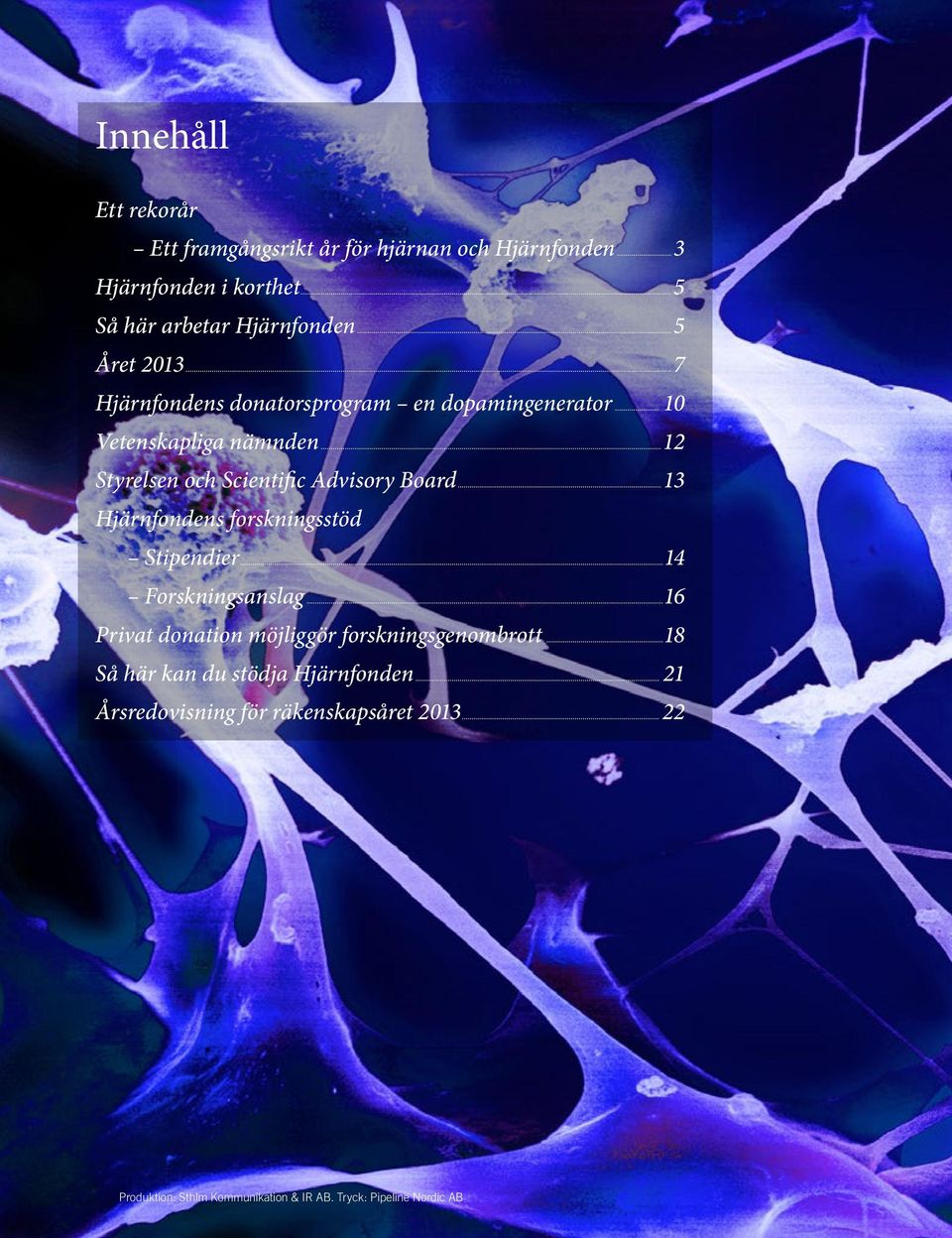 ..13 Hjärnfondens forskningsstöd Stipendier...14 Forskningsanslag...16 Privat donation möjliggör forskningsgenombrott.