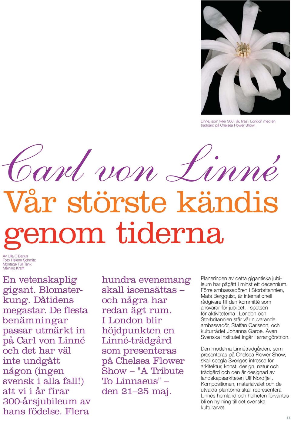 De flesta benämningar passar utmärkt in på Carl von Linné och det har väl inte undgått någon (ingen svensk i alla fall!) att vi i år firar 300-årsjubileum av hans födelse.