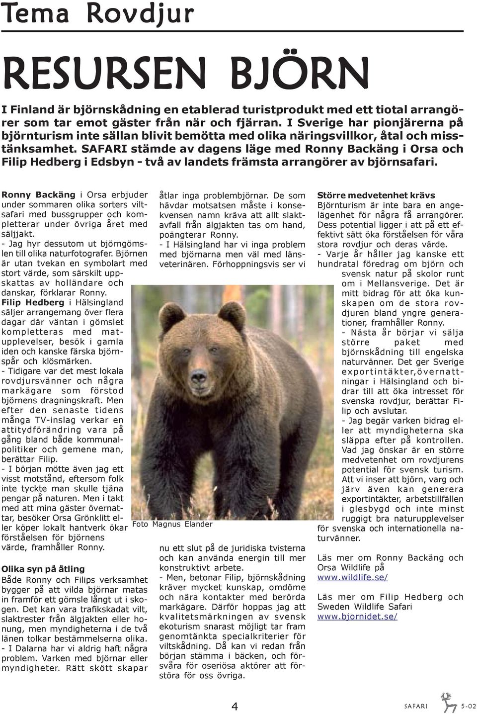 SAFARI stämde av dagens läge med Ronny Backäng i Orsa och Filip Hedberg i Edsbyn - två av landets främsta arrangörer av björnsafari.