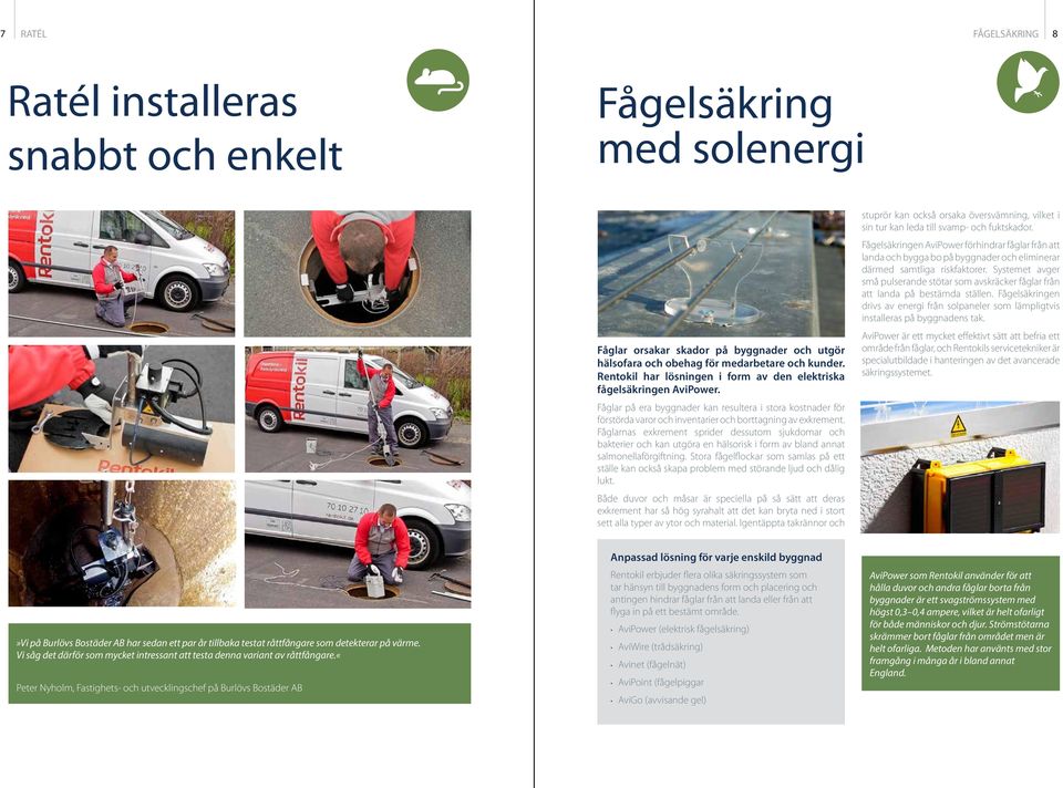Fåglarnas exkrement sprider dessutom sjukdomar och bakterier och kan utgöra en hälsorisk i form av bland annat salmonellaförgiftning.
