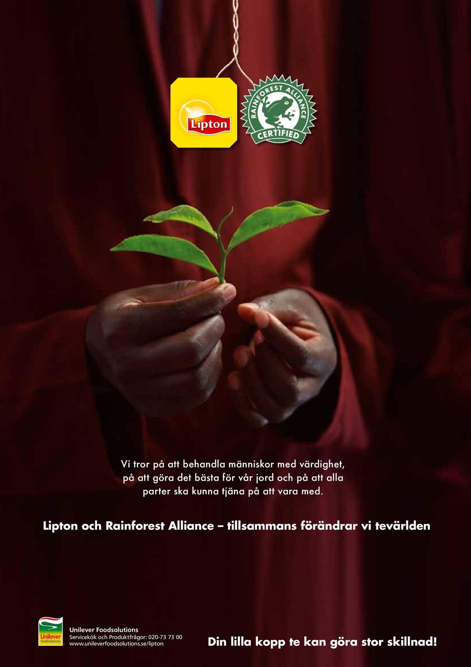 Lipton och Rainforest Alliance tillsammans förändrar vi tevärlden Unilever