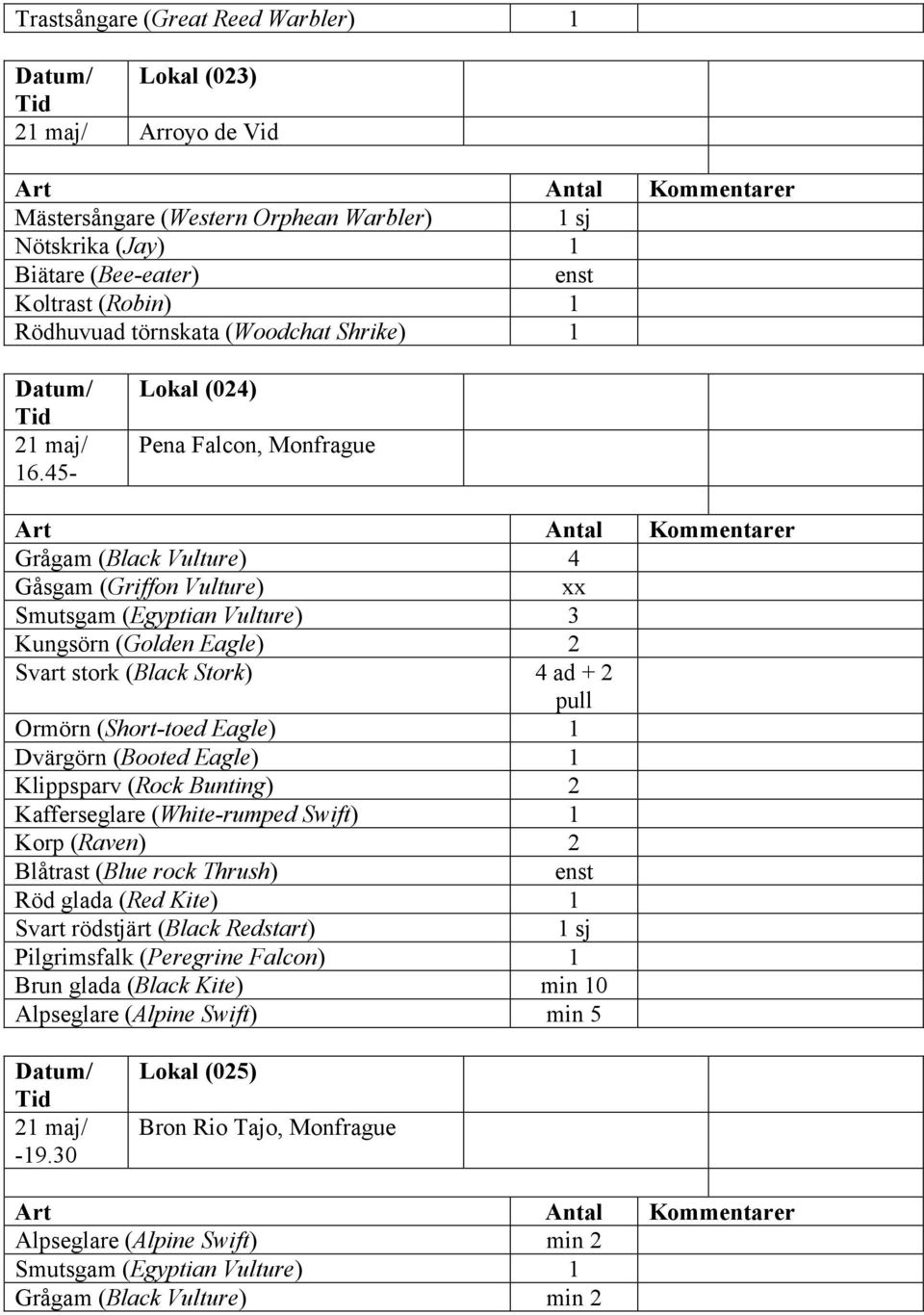 45- Lokal (024) Pena Falcon, Monfrague Grågam (Black Vulture) 4 Gåsgam (Griffon Vulture) Smutsgam (Egyptian Vulture) 3 Kungsörn (Golden Eagle) 2 Svart stork (Black Stork) 4 ad + 2 pull Ormörn