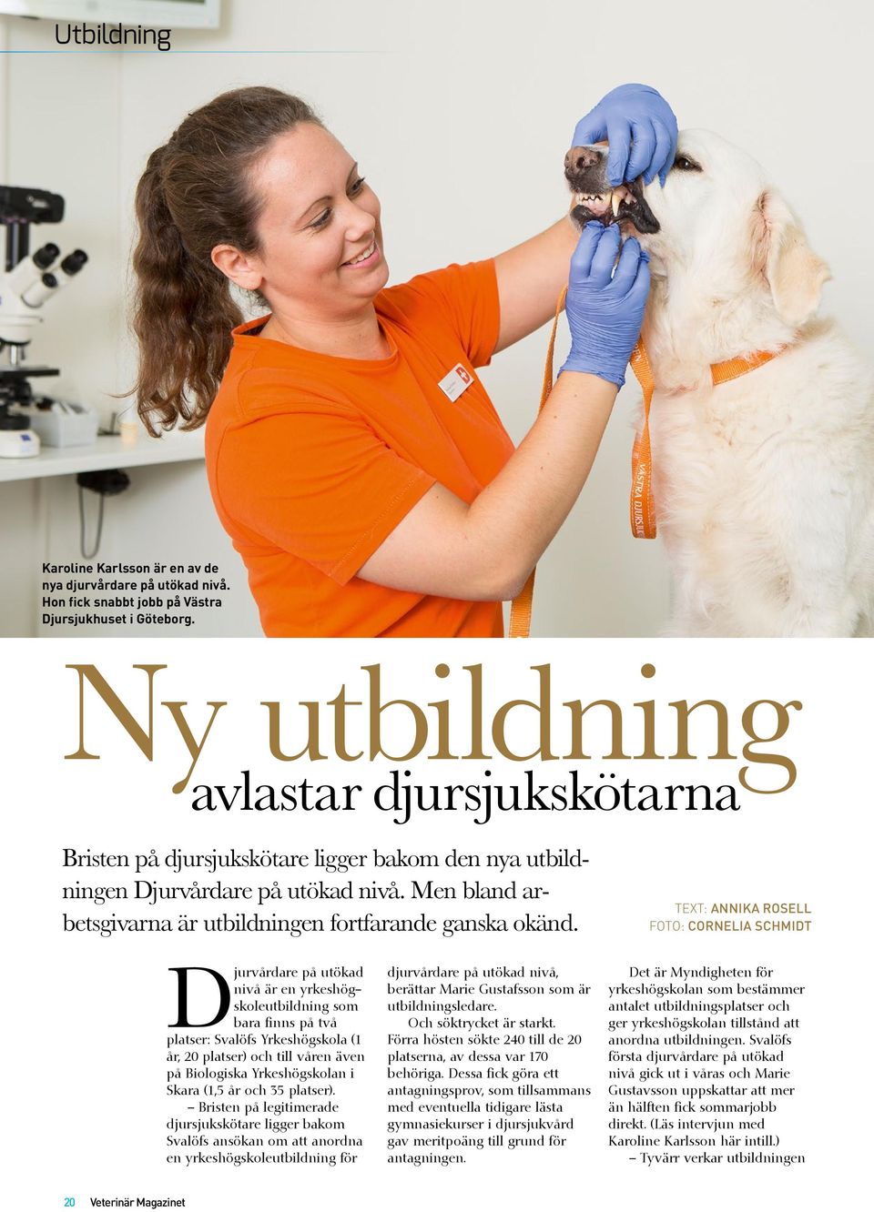 TEXT: Annika Rosell FOTO: Cornelia Schmidt Djurvårdare på utökad nivå är en yrkeshögskoleutbildning som bara finns på två platser: Svalöfs Yrkeshögskola (1 år, 20 platser) och till våren även på