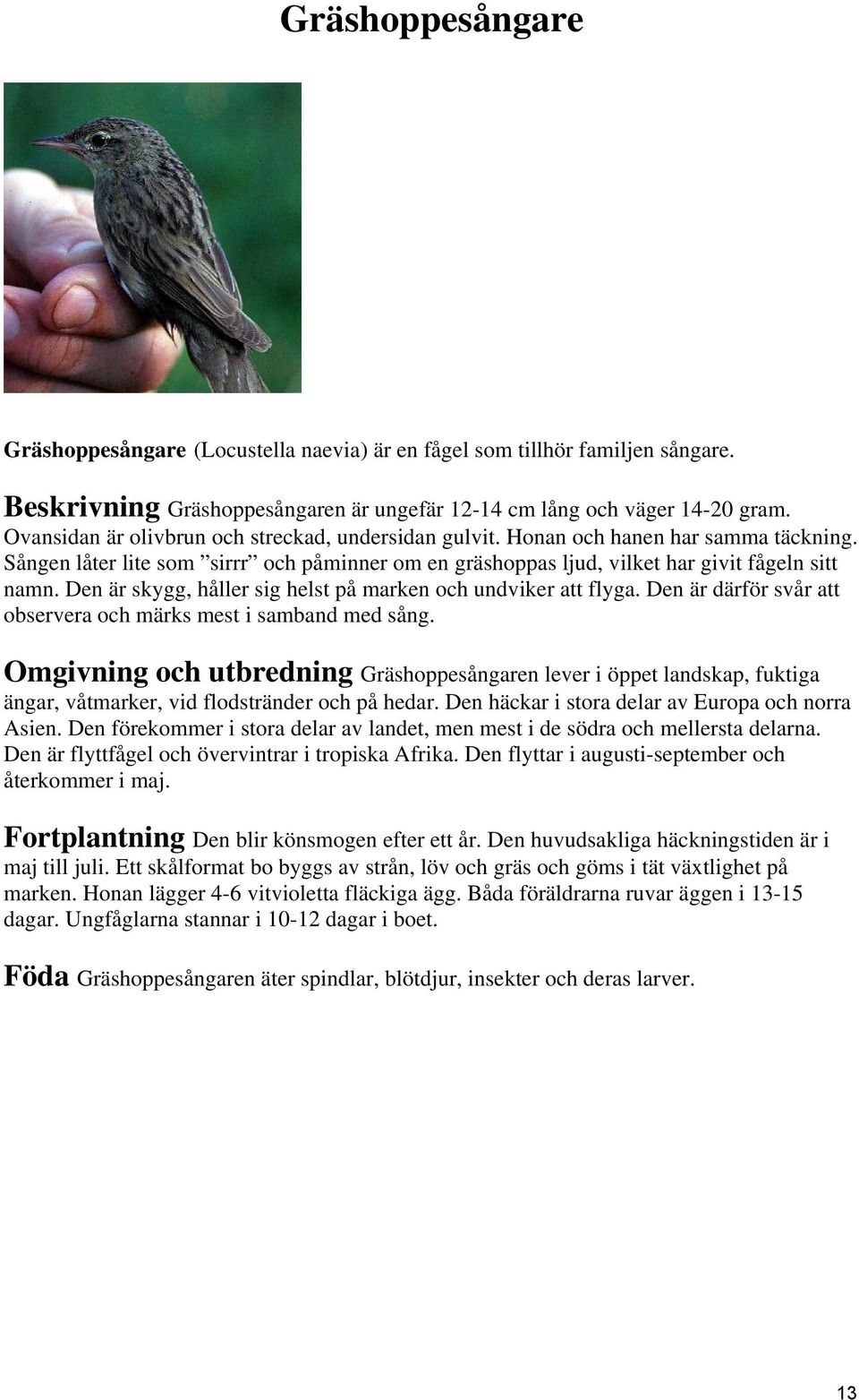 Den är skygg, håller sig helst på marken och undviker att flyga. Den är därför svår att observera och märks mest i samband med sång.