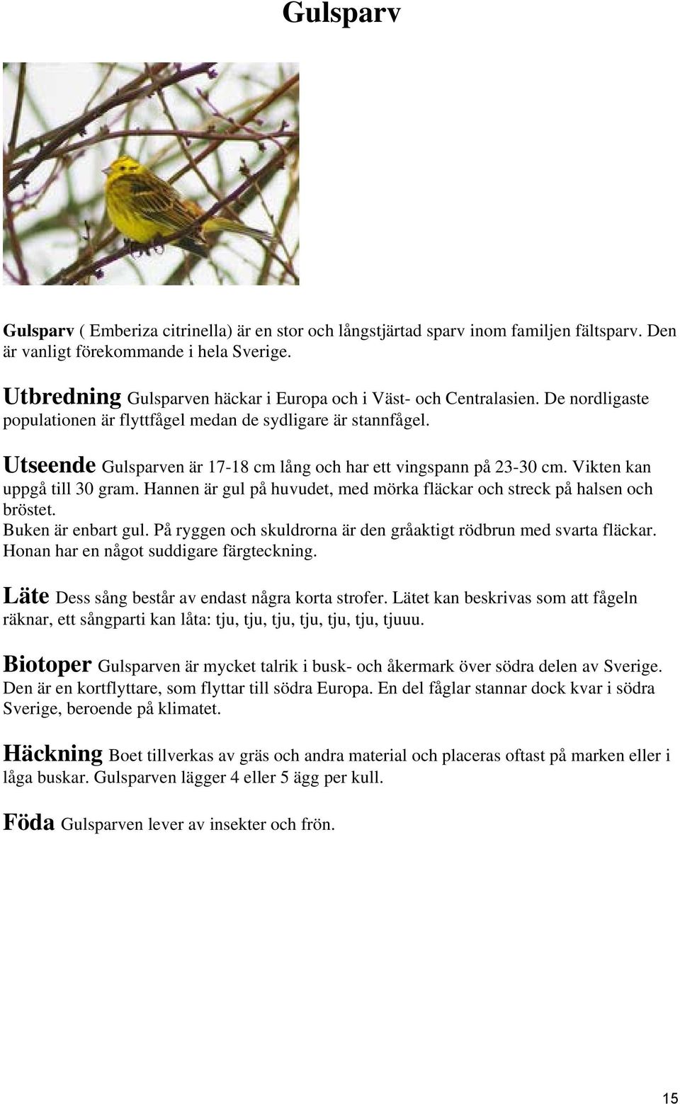 Utseende Gulsparven är 17-18 cm lång och har ett vingspann på 23-30 cm. Vikten kan uppgå till 30 gram. Hannen är gul på huvudet, med mörka fläckar och streck på halsen och bröstet.