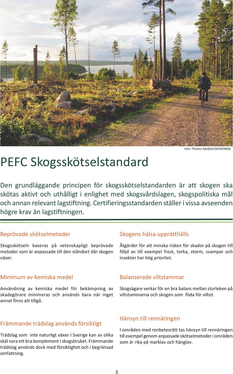 Beprövade skötselmetoder Skogsskötseln baseras på vetenskapligt beprövade metoder som är anpassade till den ståndort där skogen växer.