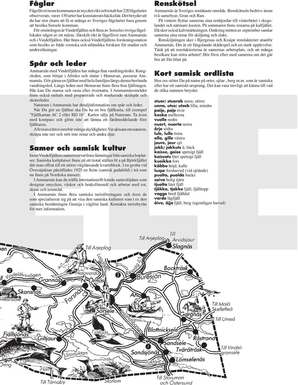 För ornitologen är Vindelfjällen och flera av Sorseles övriga fågellokaler något av ett måste. Särskilt rikt är fågellivet runt Ammarnäs och i Vindelfjällen.