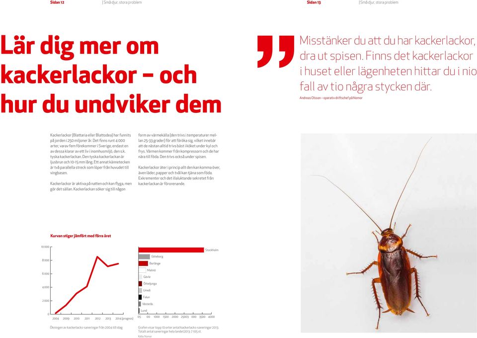 Andreas Olsson operativ driftschef på Nomor Kackerlackor (Blattaria eller Blattodea) har funnits på jorden i 250 miljoner år.