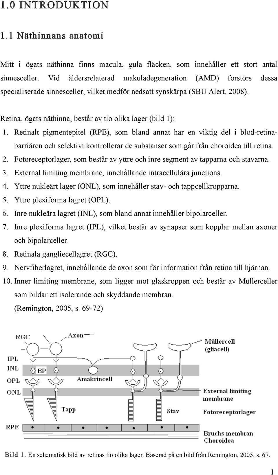 Retina, ögats näthinna, består av tio olika lager (bild 1): 1.