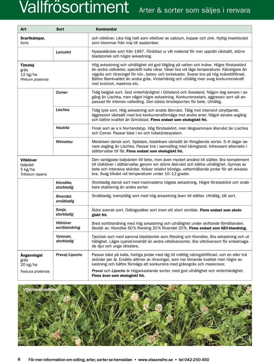 Timotej gräs 12 kg/ha Phleum pratense Hög avkastning och uthållighet vid god tillgång på vatten och kväve. Högre förstaskörd än andra vallväxter, speciellt kalla vårar.