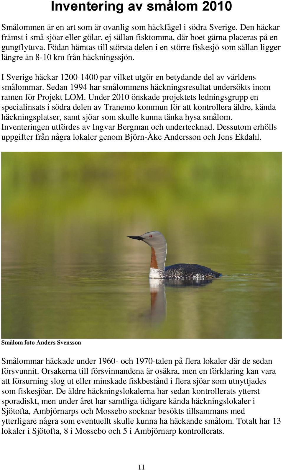 Sedan 1994 har smålommens häckningsresultat undersökts inom ramen för Projekt LOM.