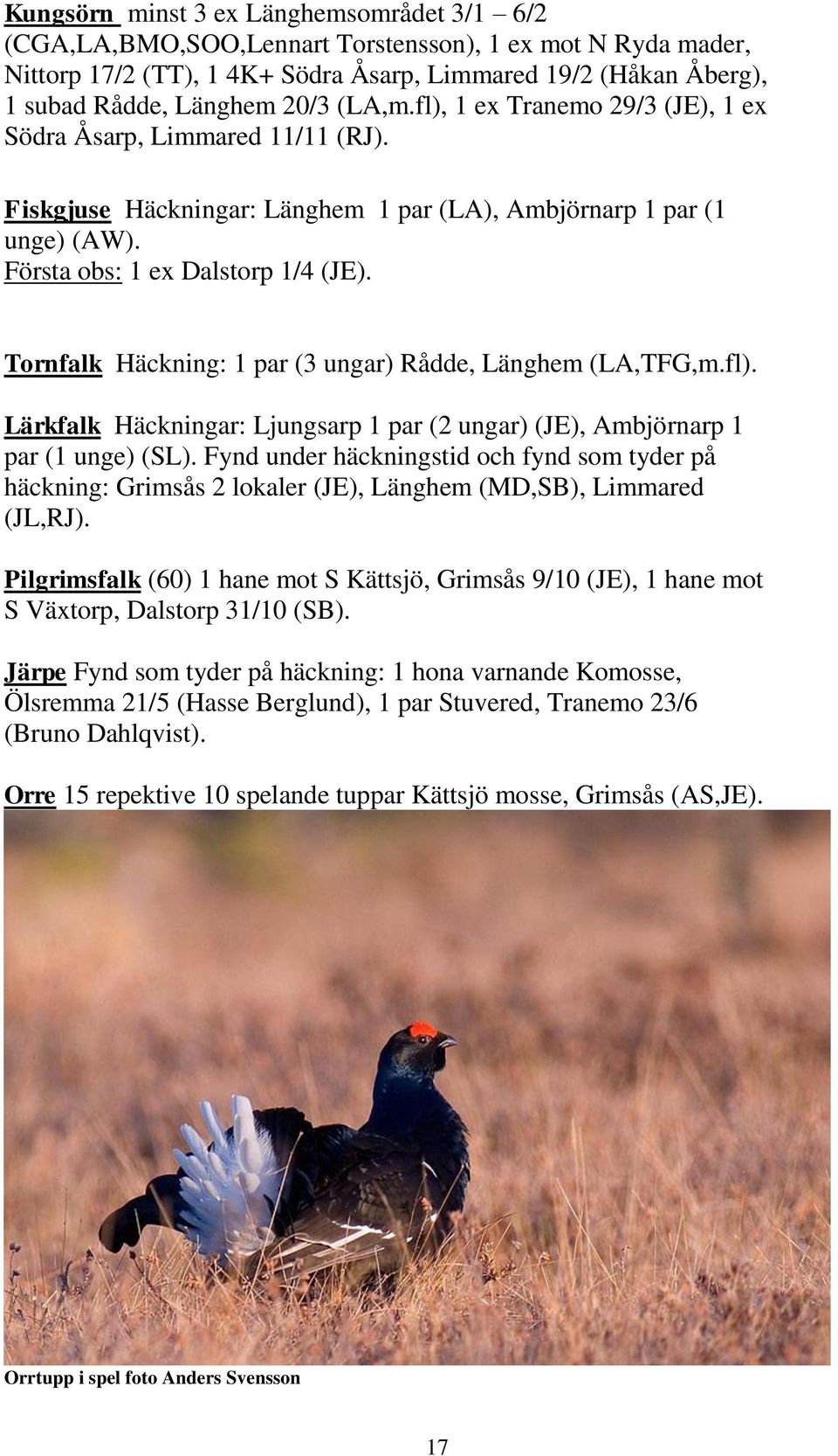 Tornfalk Häckning: 1 par (3 ungar) Rådde, Länghem (LA,TFG,m.fl). Lärkfalk Häckningar: Ljungsarp 1 par (2 ungar) (JE), Ambjörnarp 1 par (1 unge) (SL).