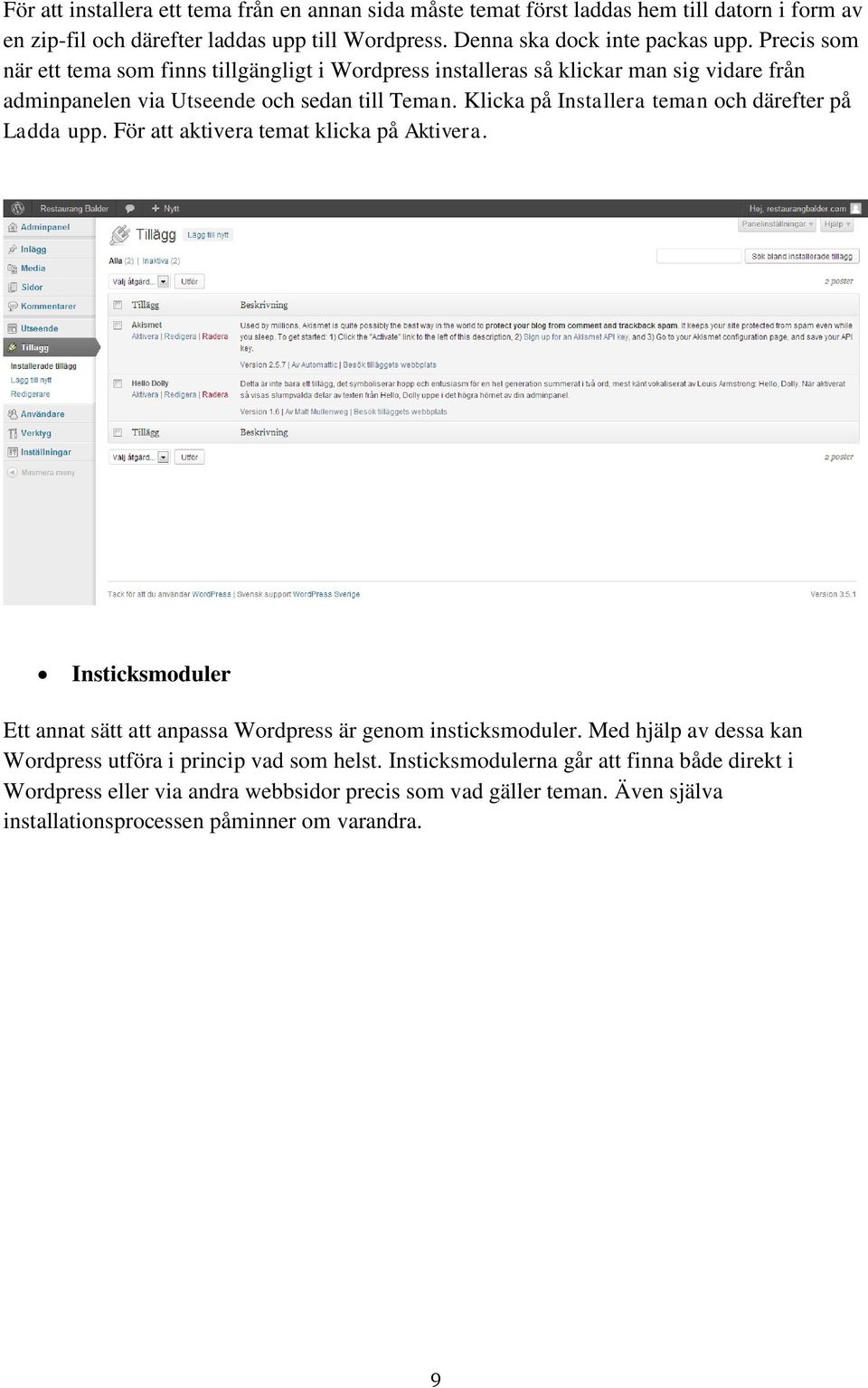 Klicka på Installera teman och därefter på Ladda upp. För att aktivera temat klicka på Aktivera. Insticksmoduler Ett annat sätt att anpassa Wordpress är genom insticksmoduler.