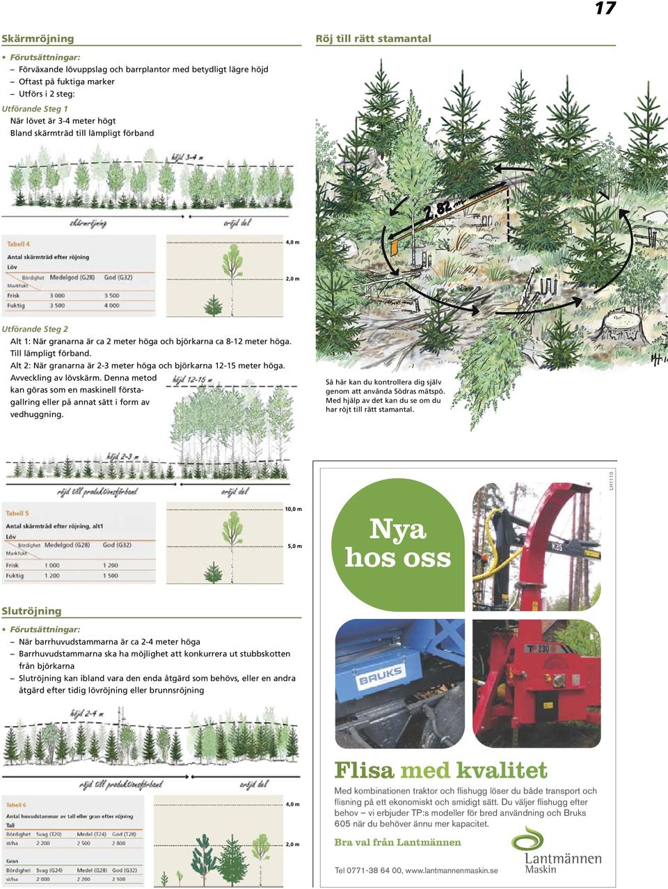 LH1110 Utförande Steg 2 Alt 1: När granarna är ca 2 meter höga och björkarna ca 8-12 meter höga. Till lämpligt förband. Alt 2: När granarna är 2-3 meter höga och björkarna 12-15 meter höga.