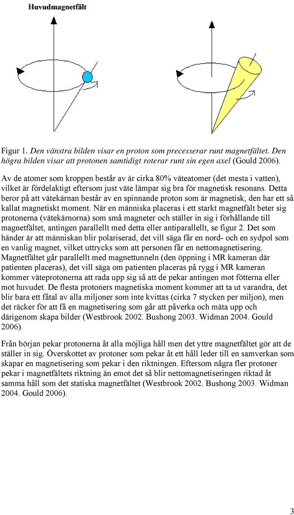 Detta beror på att vätekärnan består av en spinnande proton som är magnetisk, den har ett så kallat magnetiskt moment.