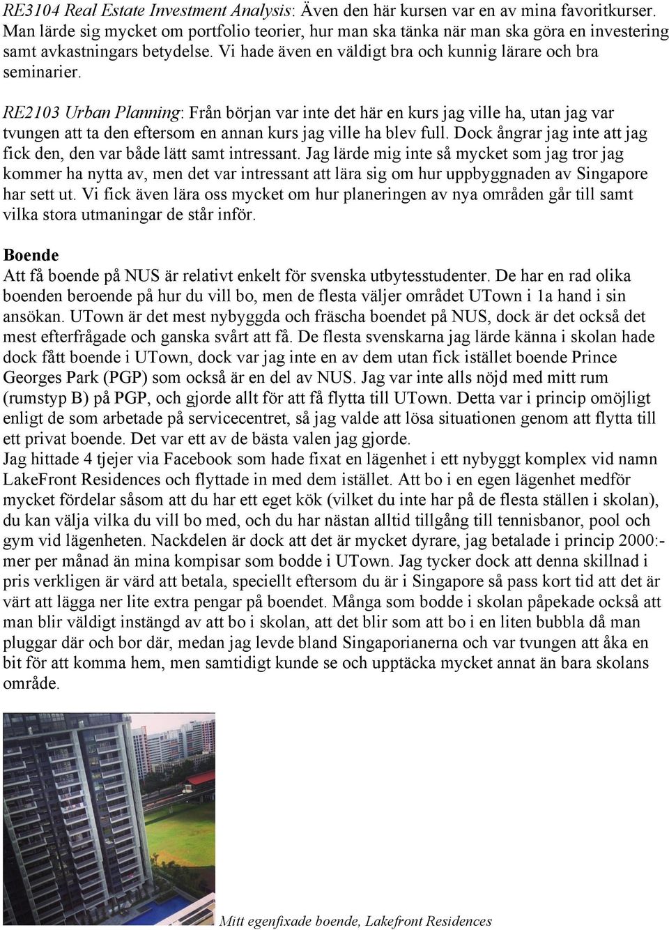 RE2103 Urban Planning: Från början var inte det här en kurs jag ville ha, utan jag var tvungen att ta den eftersom en annan kurs jag ville ha blev full.