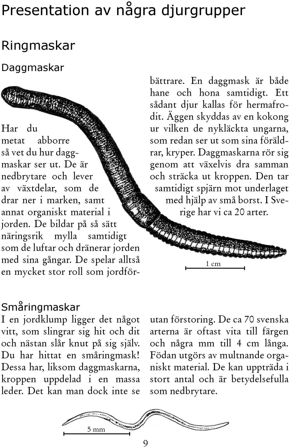 De bildar på så sätt näringsrik mylla samtidigt som de luftar och dränerar jorden med sina gångar. De spelar alltså en mycket stor roll som jordförbättrare.