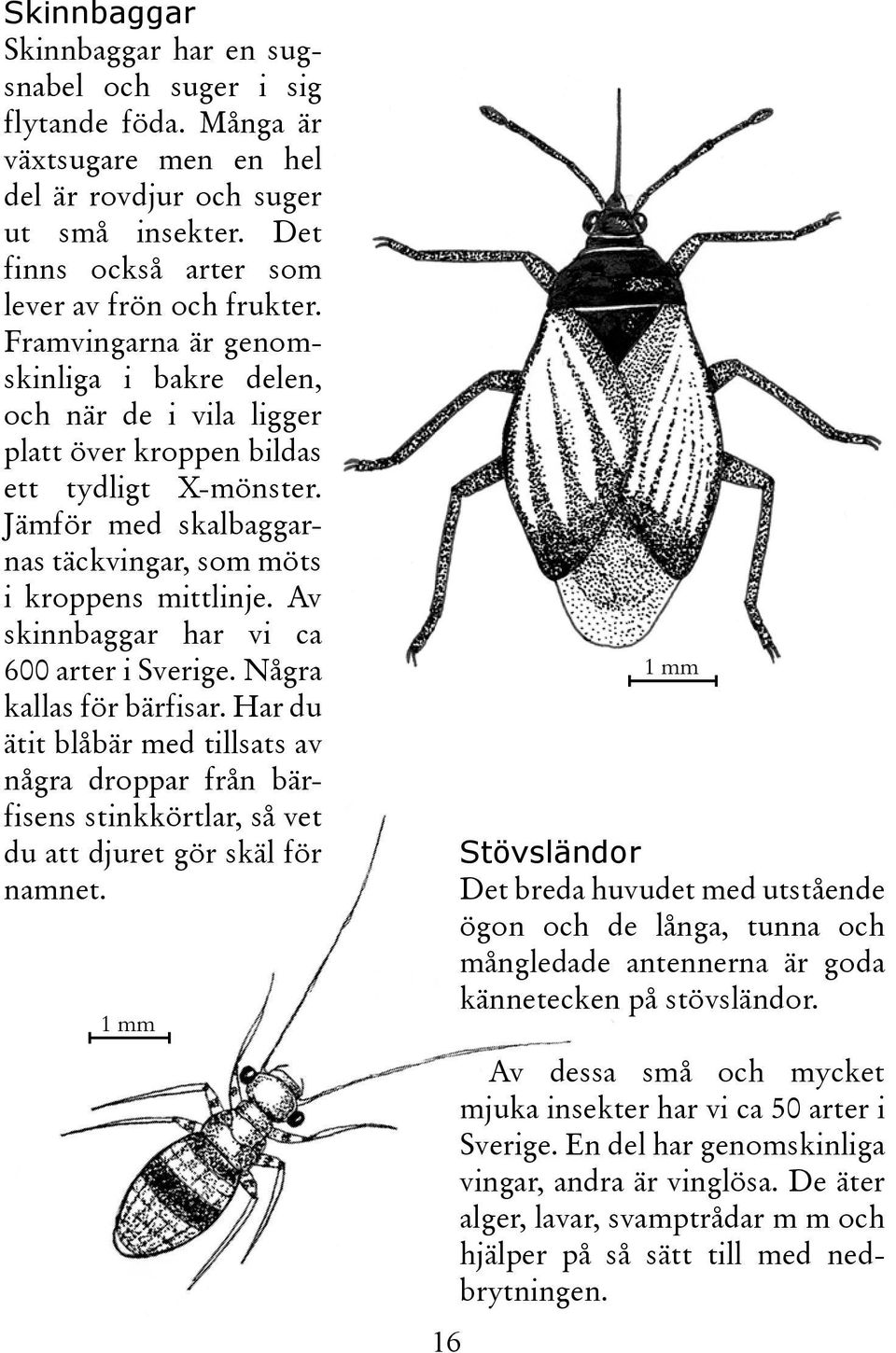 Av skinnbaggar har vi ca 600 arter i Sverige. Några kallas för bärfisar. Har du ätit blåbär med tillsats av några droppar från bärfisens stinkkörtlar, så vet du att djuret gör skäl för namnet.
