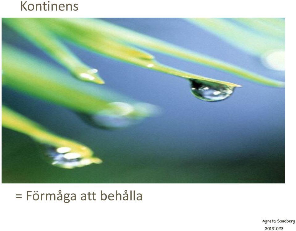 behålla Foto: