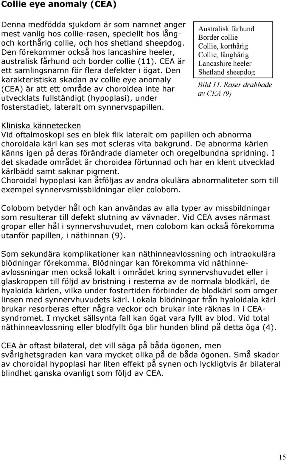 Den karakteristiska skadan av collie eye anomaly (CEA) är att ett område av choroidea inte har utvecklats fullständigt (hypoplasi), under fosterstadiet, lateralt om synnervspapillen.