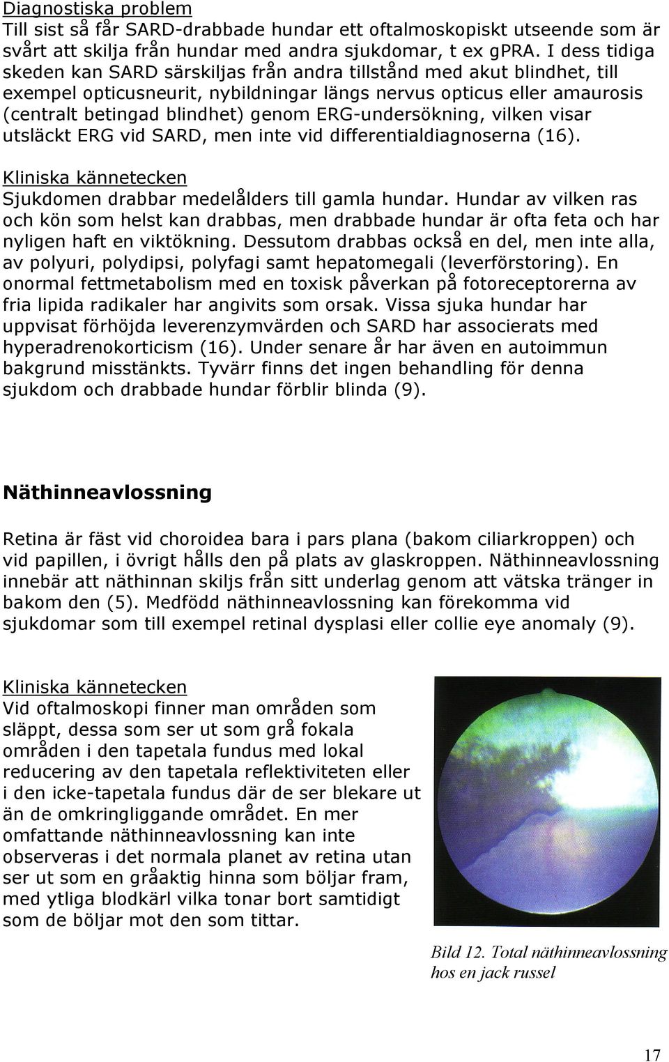 ERG-undersökning, vilken visar utsläckt ERG vid SARD, men inte vid differentialdiagnoserna (16). Kliniska kännetecken Sjukdomen drabbar medelålders till gamla hundar.