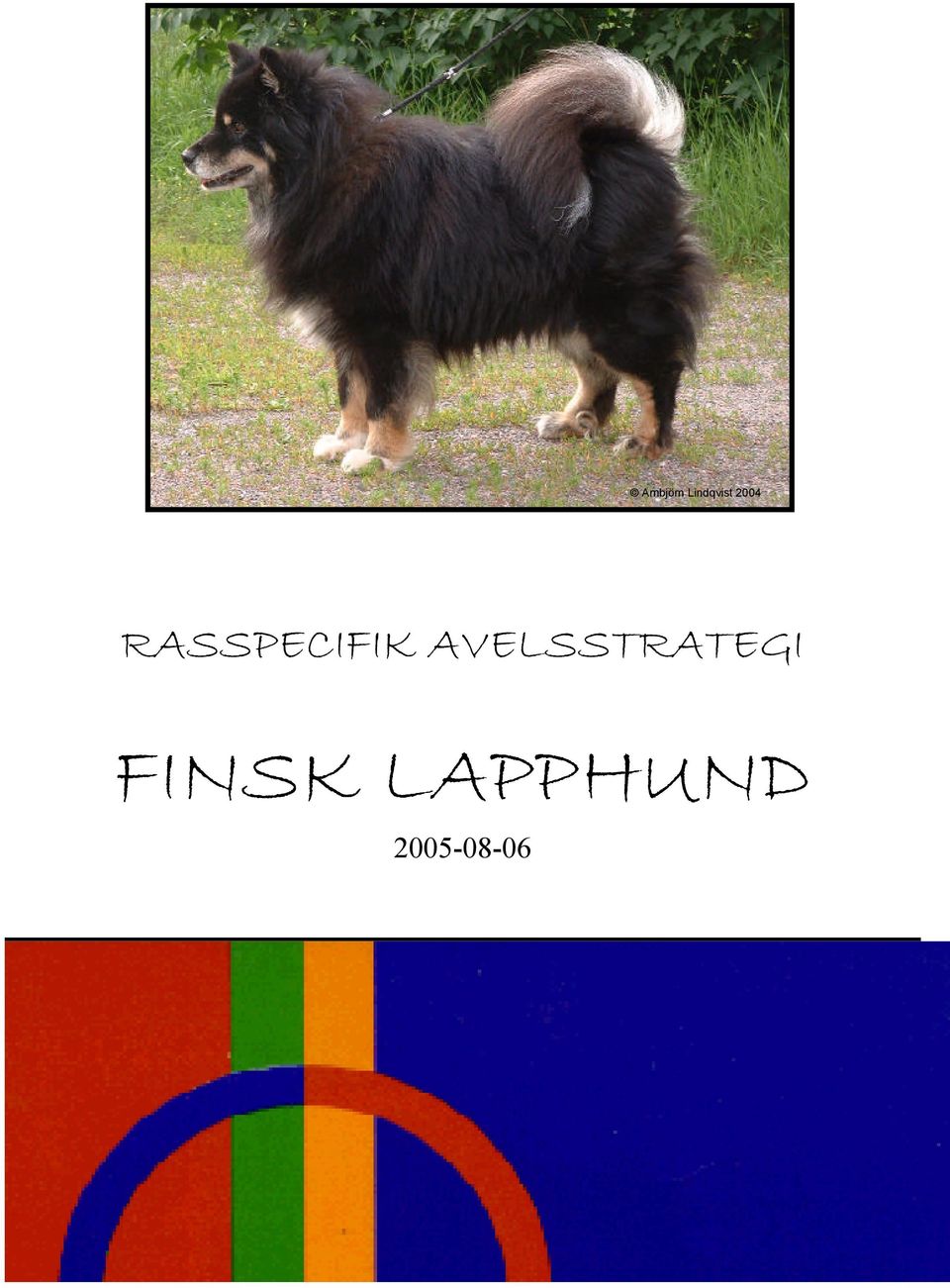 AVELSSTRATEGI FINSK