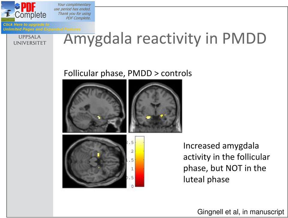 activity in the follicular phase, but NOT