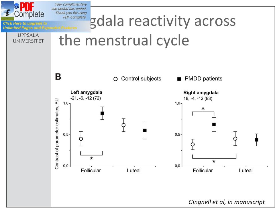 the menstrual