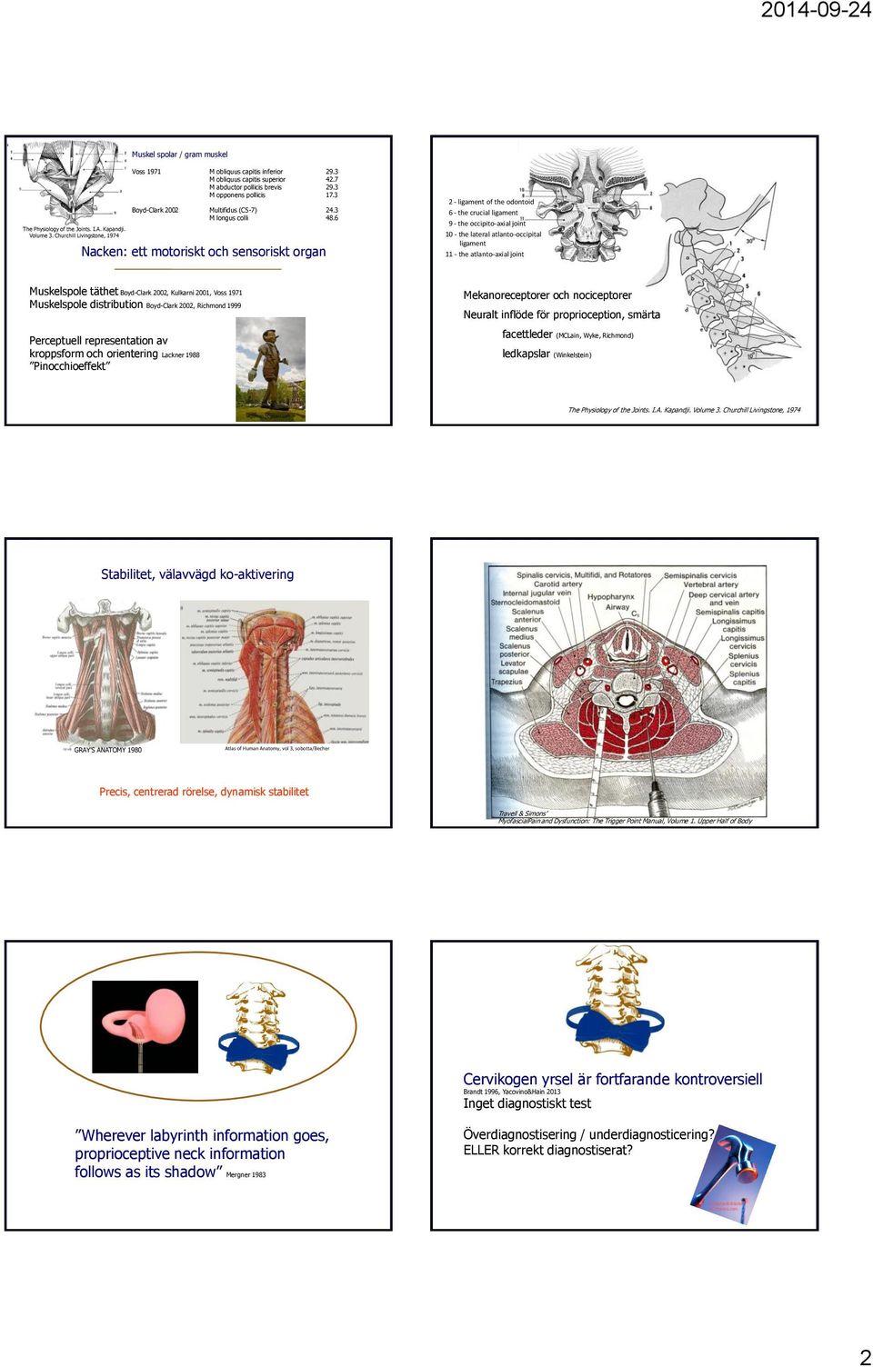 Churchill Livingstone, 1974 Nacken: ett motoriskt och sensoriskt organ 2 - ligament of the odontoid 6 - the crucial ligament 9 - the occipito-axial joint 10 - the lateral atlanto-occipital ligament