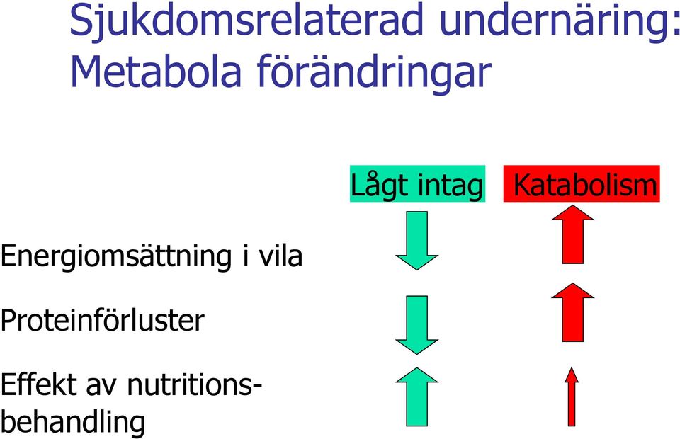 Energiomsättning i vila