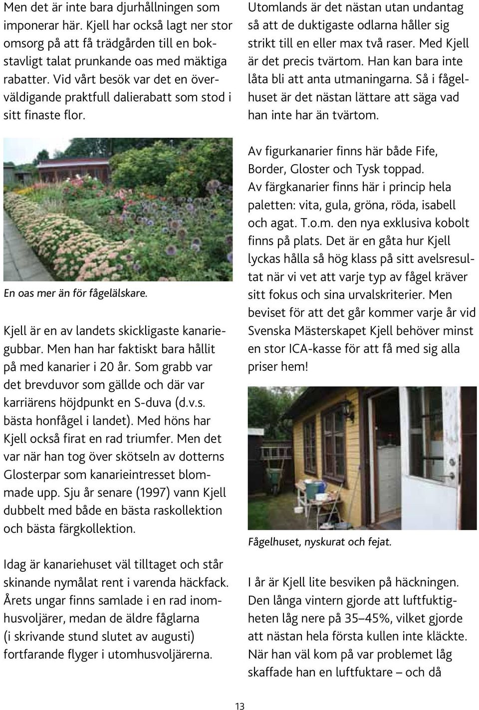 Men han har faktiskt bara hållit på med kanarier i 20 år. Som grabb var det brevduvor som gällde och där var karriärens höjdpunkt en S-duva (d.v.s. bästa honfågel i landet).