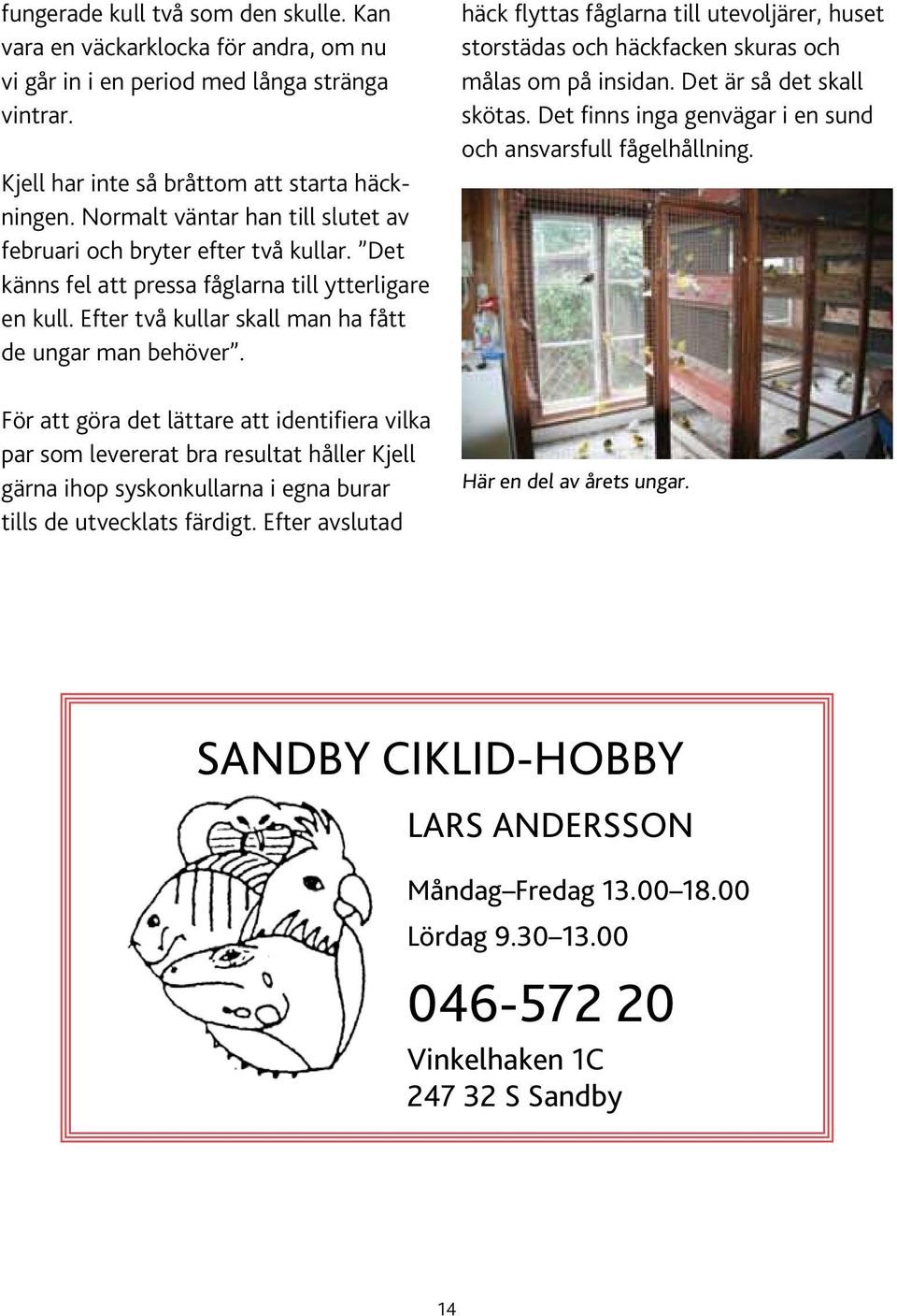 För att göra det lättare att identifiera vilka par som levererat bra resultat håller Kjell gärna ihop syskonkullarna i egna burar tills de utvecklats färdigt.