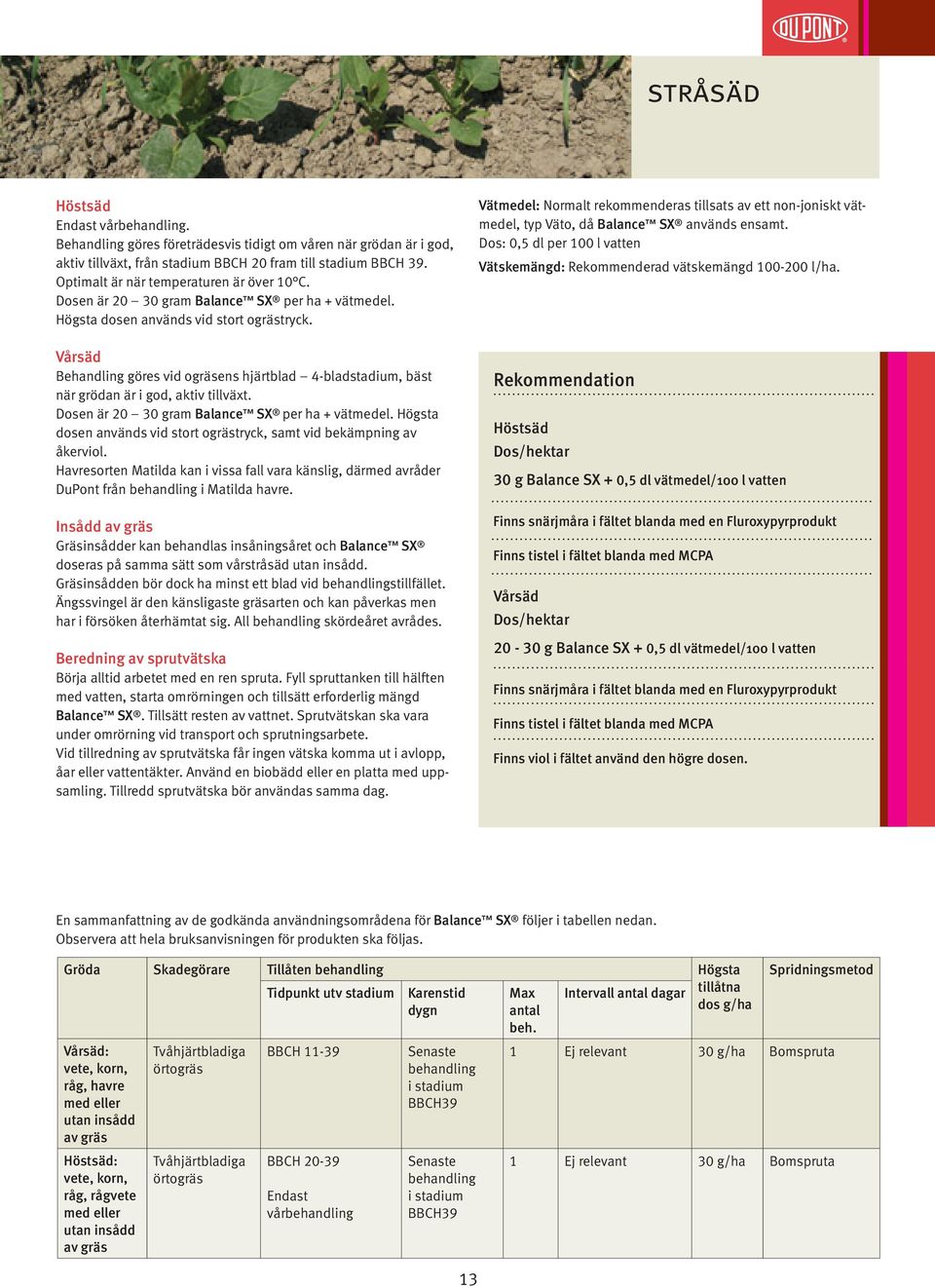 Vårsäd Behandling göres vid ogräsens hjärtblad 4-bladstadium, bäst när grödan är i god, aktiv tillväxt. Dosen är 20 30 gram Balance SX per ha + vätmedel.