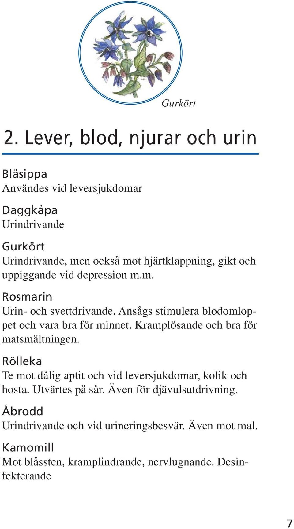 Ansågs stimulera blodomloppet och vara bra för minnet. Kramplösande och bra för matsmältningen.