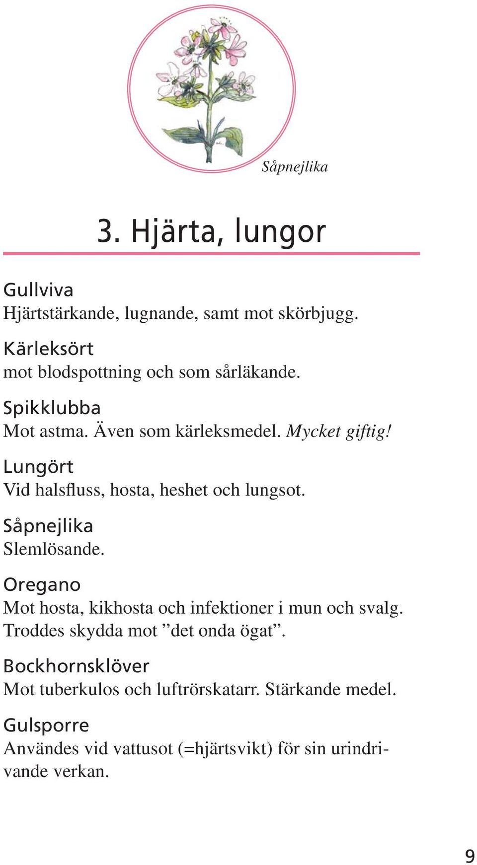 Lungört Vid halsfluss, hosta, heshet och lungsot. Såpnejlika Slemlösande.