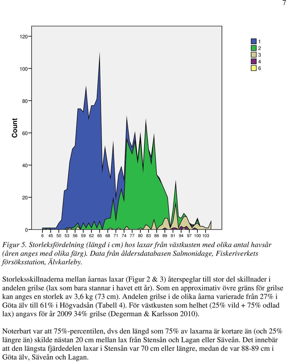 Storleksskillnaderna mellan åarnas laxar (Figur 2 & 3) återspeglar till stor del skillnader i andelen grilse (lax som bara stannar i havet ett år).