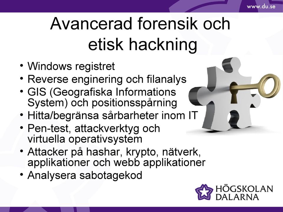 Hitta/begränsa sårbarheter inom IT Pen-test, attackverktyg och virtuella