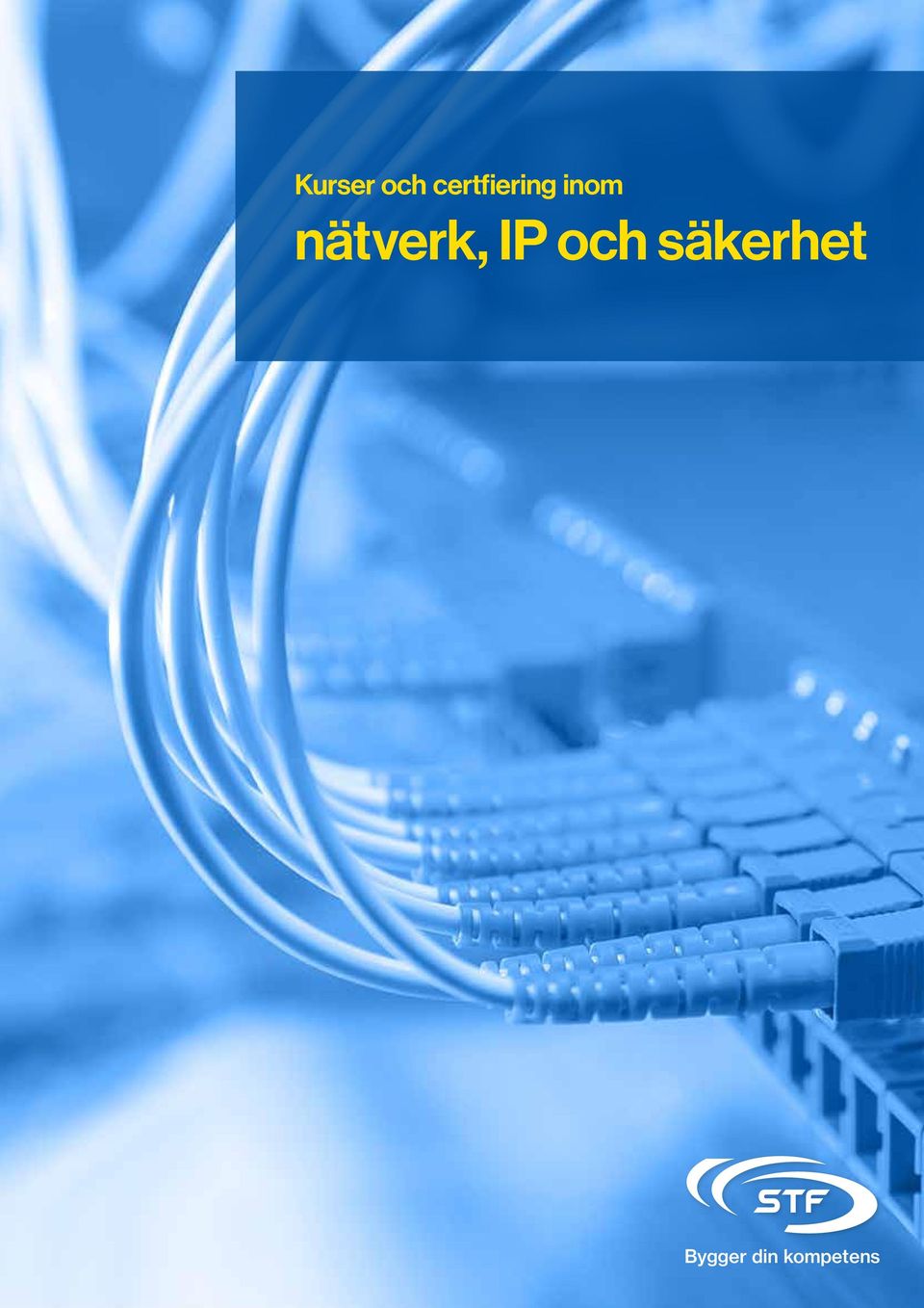 nätverk, IP och