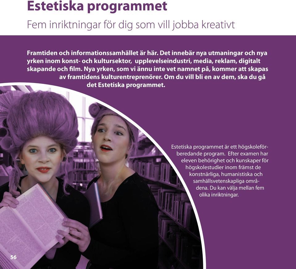 Nya yrken, som vi ännu inte vet namnet på, kommer att skapas av framtidens kulturentreprenörer. Om du vill bli en av dem, ska du gå det Estetiska programmet.