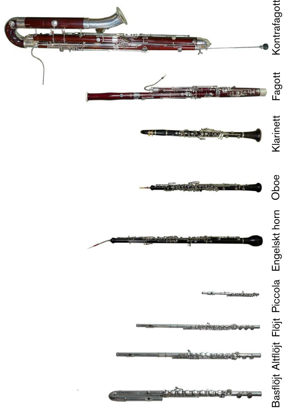 Engelskt horn Oboe