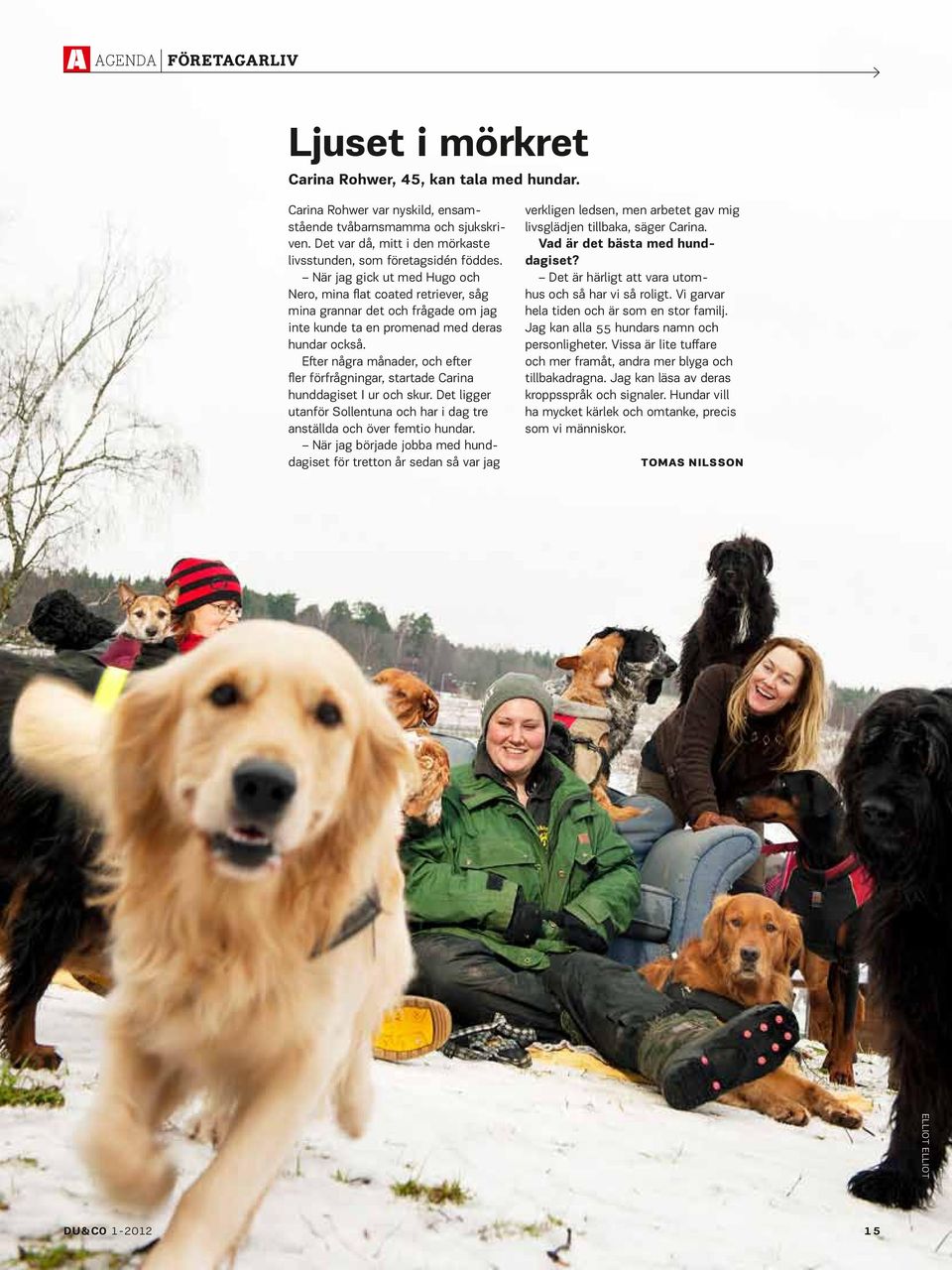 När jag gick ut med Hugo och Nero, mina flat coated retriever, såg mina grannar det och frågade om jag inte kunde ta en promenad med deras hundar också.