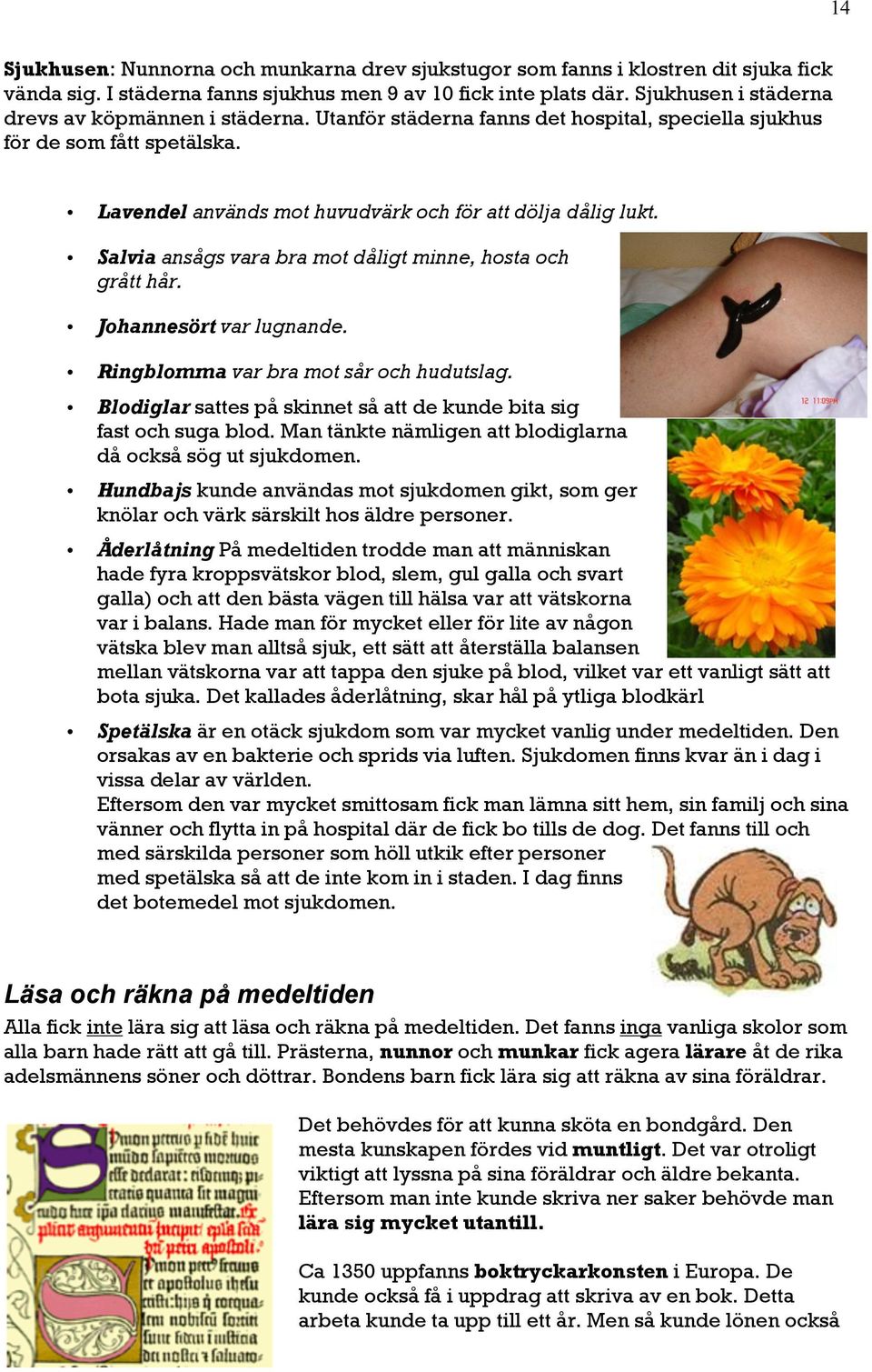 Salvia ansågs vara bra mot dåligt minne, hosta och grått hår. Johannesört var lugnande. Ringblomma var bra mot sår och hudutslag.