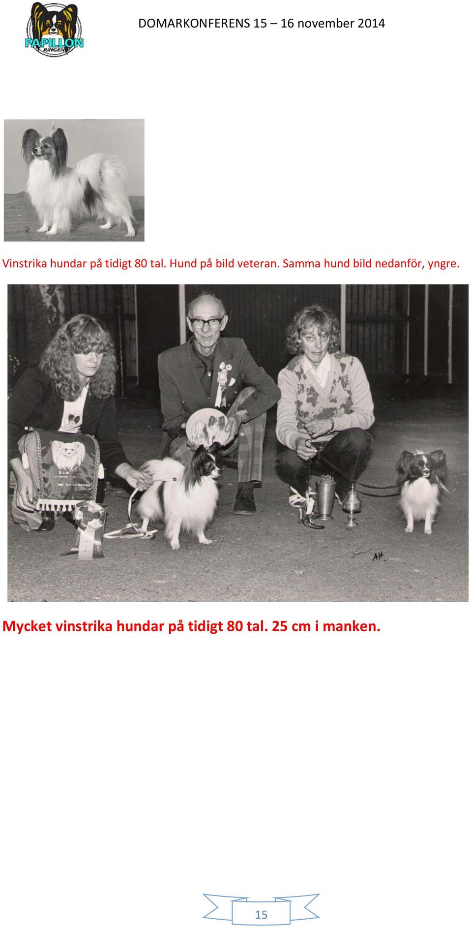 Samma hund bild nedanför, yngre.