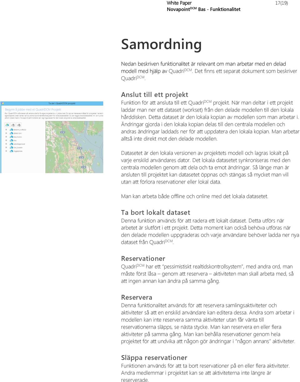 Detta dataset är den lokala kopian av modellen som man arbetar i.