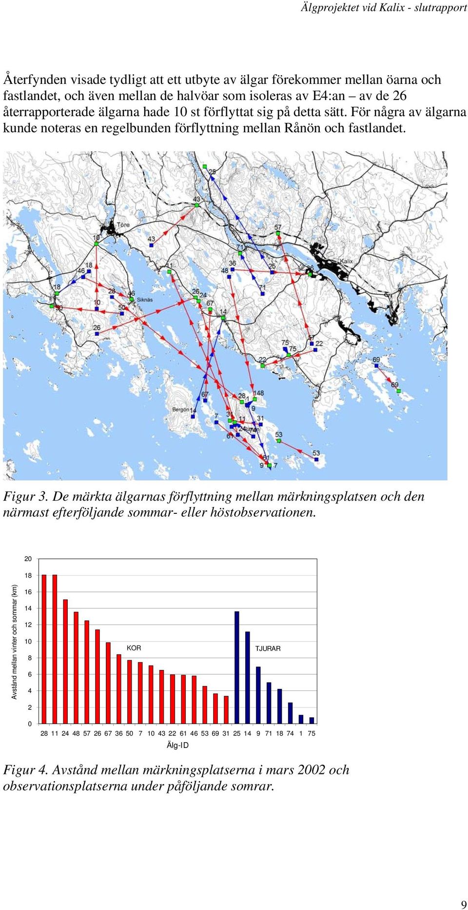 De märkta älgarnas förflyttning mellan märkningsplatsen och den närmast efterföljande sommar- eller höstobservationen.