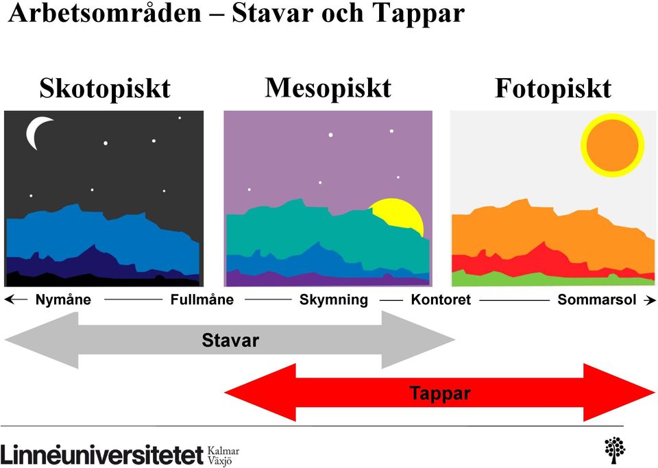 Fotopiskt Nymåne Fullmåne