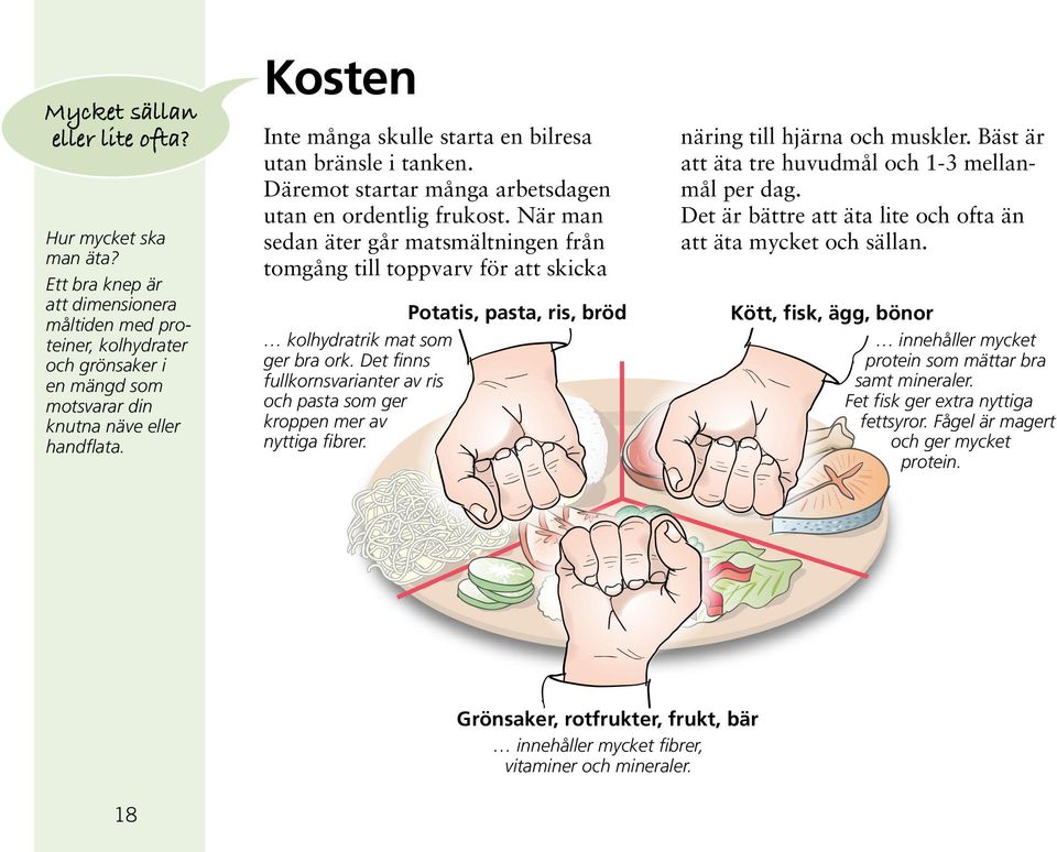 När man sedan äter går matsmältningen från tomgång till toppvarv för att skicka Potatis, pasta, ris, bröd kolhydratrik mat som ger bra ork.